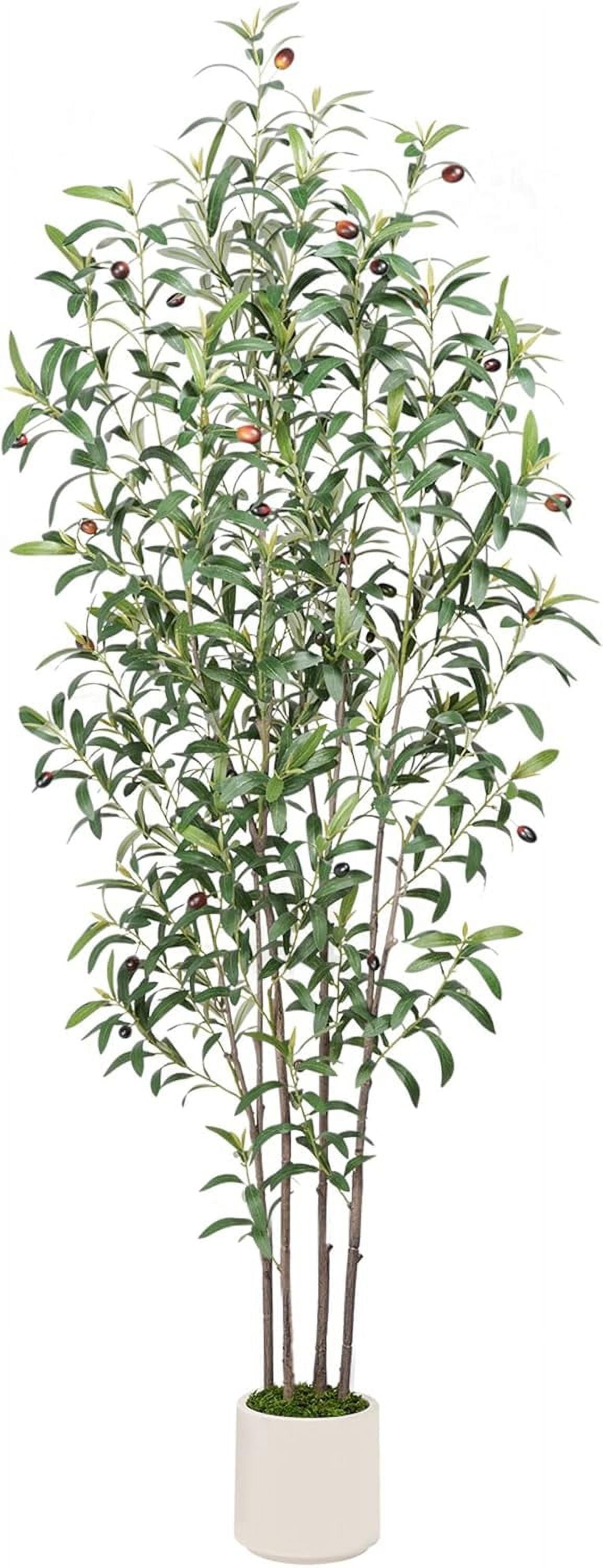 Premium Artificial Olive Tree 6FT Faux Olive Tree Artificial Indoor