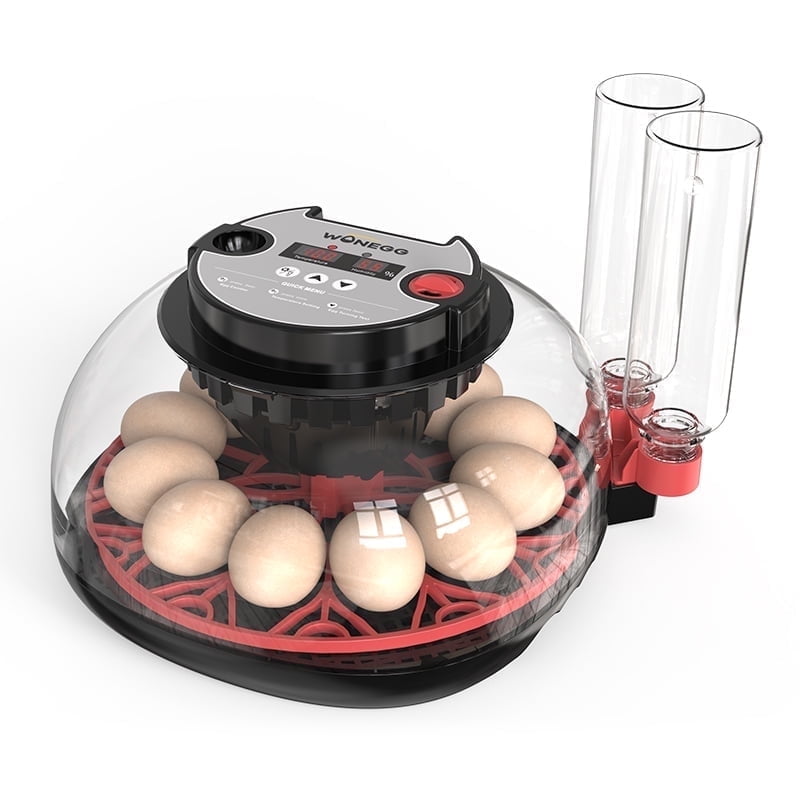 Premium Automatic 12 Egg Incubator by WONEGG for Birds like Chickens, Ducks, Turkeys, and More!
