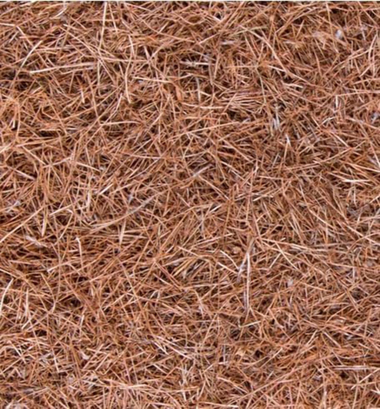 Premium Brown Pine Straw Mulch, 4 lb with Soil Moisture Retention