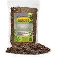 Premium Calathea Plant Potting Soil by Gardenera - Infuse Your Space