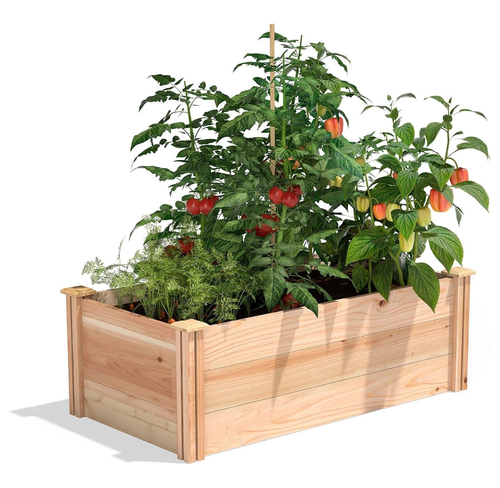 Premium Cedar Raised Garden Bed, 2' x 4' x 16.5" Made in USA with