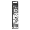 thumbnail image 1 of Premium Charcoal Drawing Pencils for Artists - 6 Pieces Soft Medium and Hard - Charcoal Pencils for Drawing, Sketching and Shading - Great Non Toxic Art Supplies Set for Adults and Kids, 1 of 4