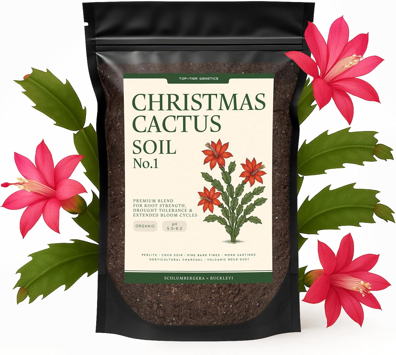 Curated visual reference: Fresh Look at Premium Chrisas Cactus Soil Organic Nutrient Rich Optimal Draining