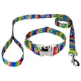 thumbnail image 1 of Country Brook Petz® Premium Classic Tie Dye Dog Collar and Leash, Medium, 1 of 6