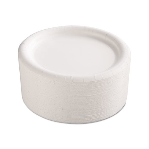 Premium Coated Paper Plates 9" dia, White, 125/Pack, 4 Packs/Carton
