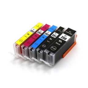 Canon Ink 250 And 251 Cartridges