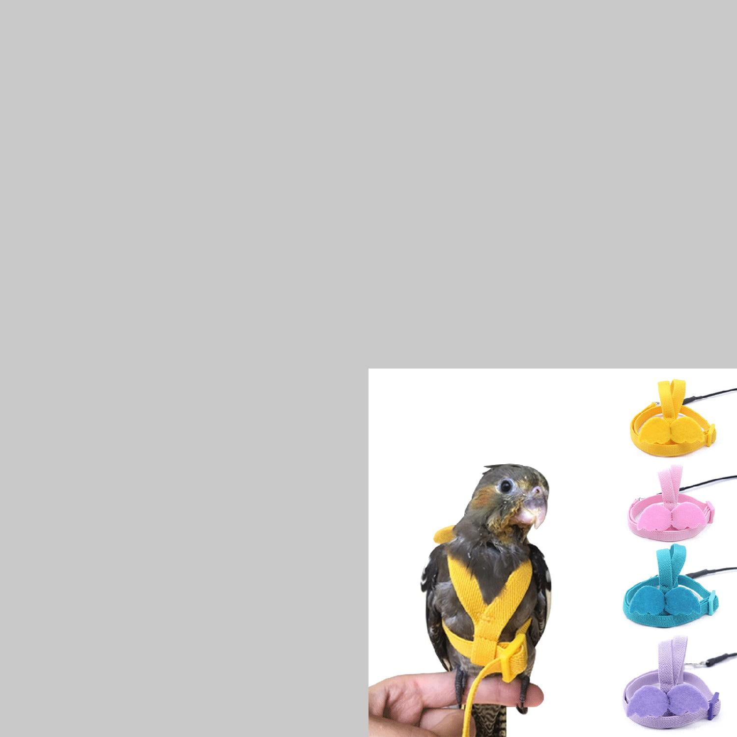 Premium Colorful Adjustable Flight Training Harness Leash for Macaw