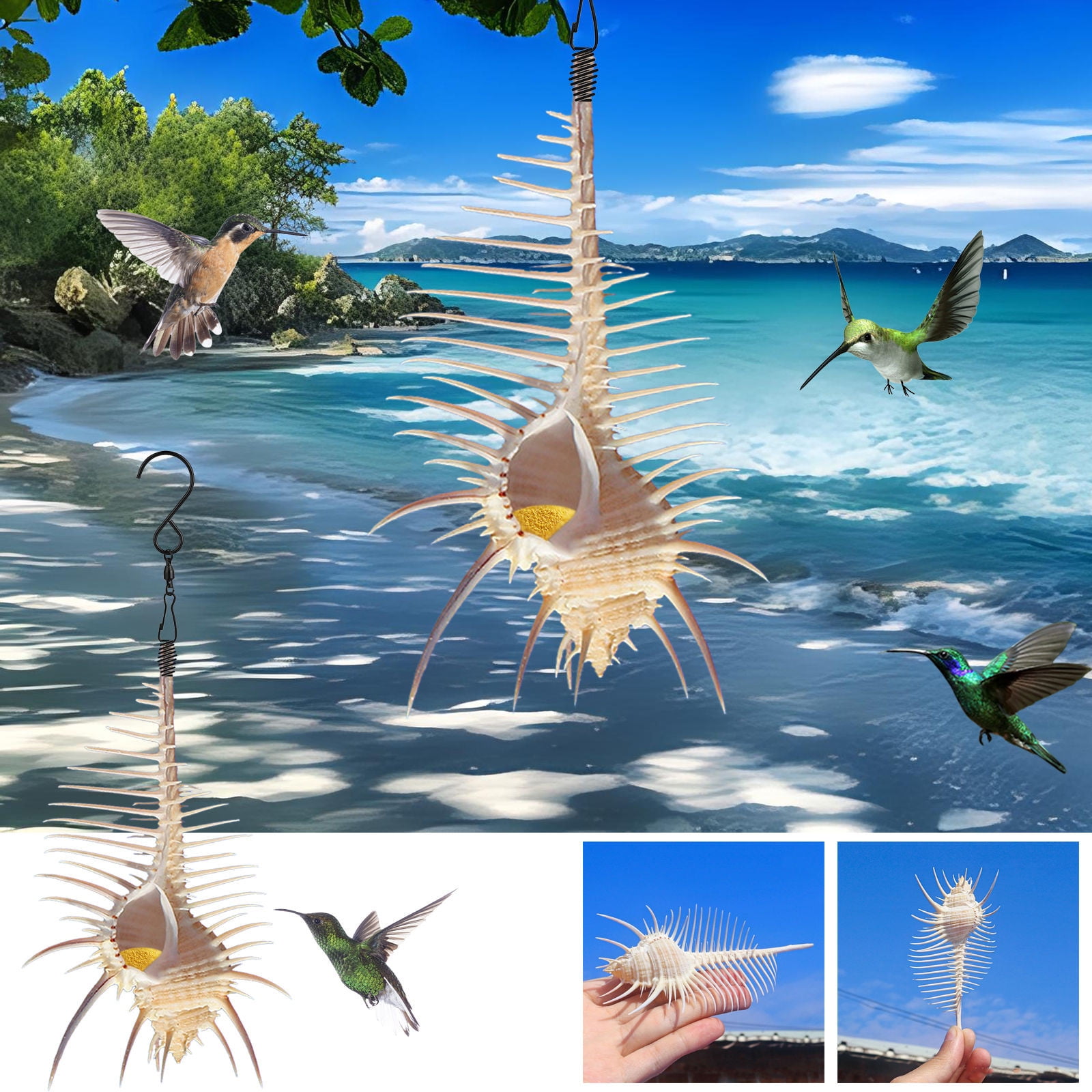 Premium Conch Feeders and Hummingbird Feeders, Wild Bird Feeders