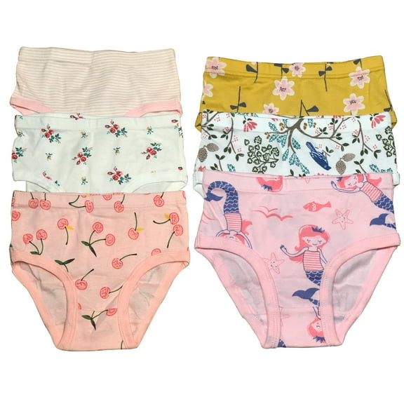 Premium Cotton Briefs for Toddler Little Girls - 6-Pack Assortment - Sizes 2T to 7T