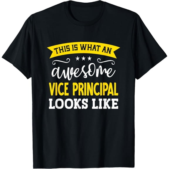 Premium Daily Comfort - Vice Principal Job Title Employee Worker Vice Principal T-Shirt
