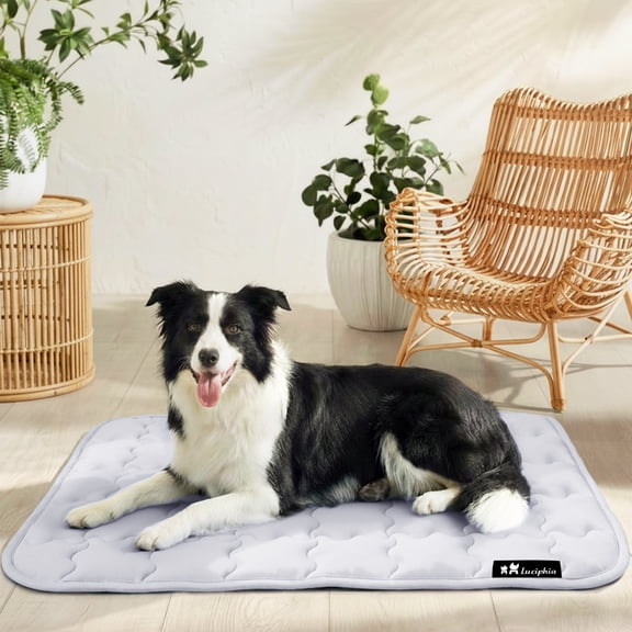 Premium Dog Cooling Mat Non-Slip Q-MAX>0.5 Self-Cooling Pad for Small Pet Cat Indoor Portable Kennel Puppy Bed for Summer Crate Pad for Dog Washable