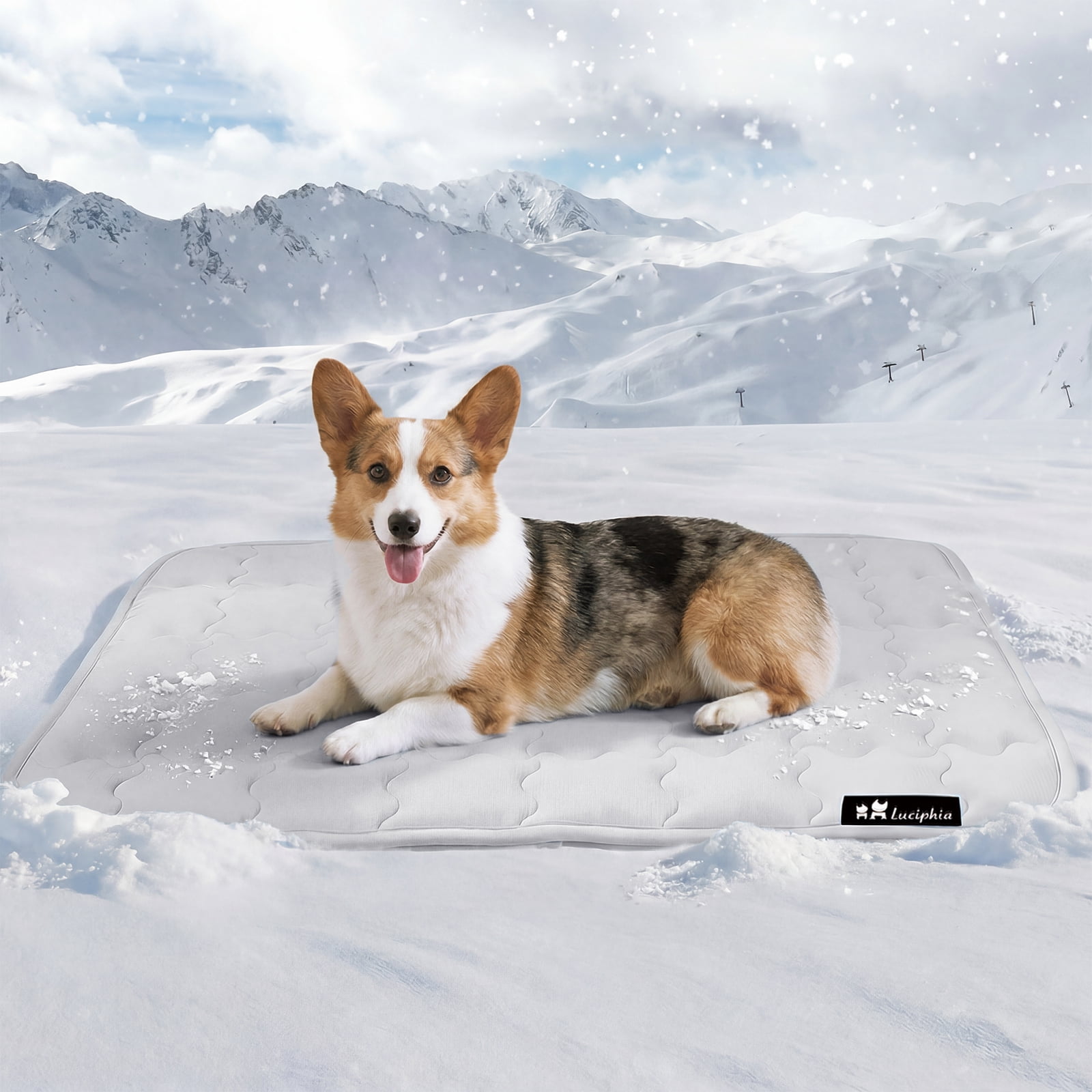 Premium Dog Cooling Mat Non-Slip Q-MAX>0.5 Self-Cooling Pad for Small Pet Cat Indoor Portable Kennel Puppy Bed for Summer Crate Pad for Dog Washable