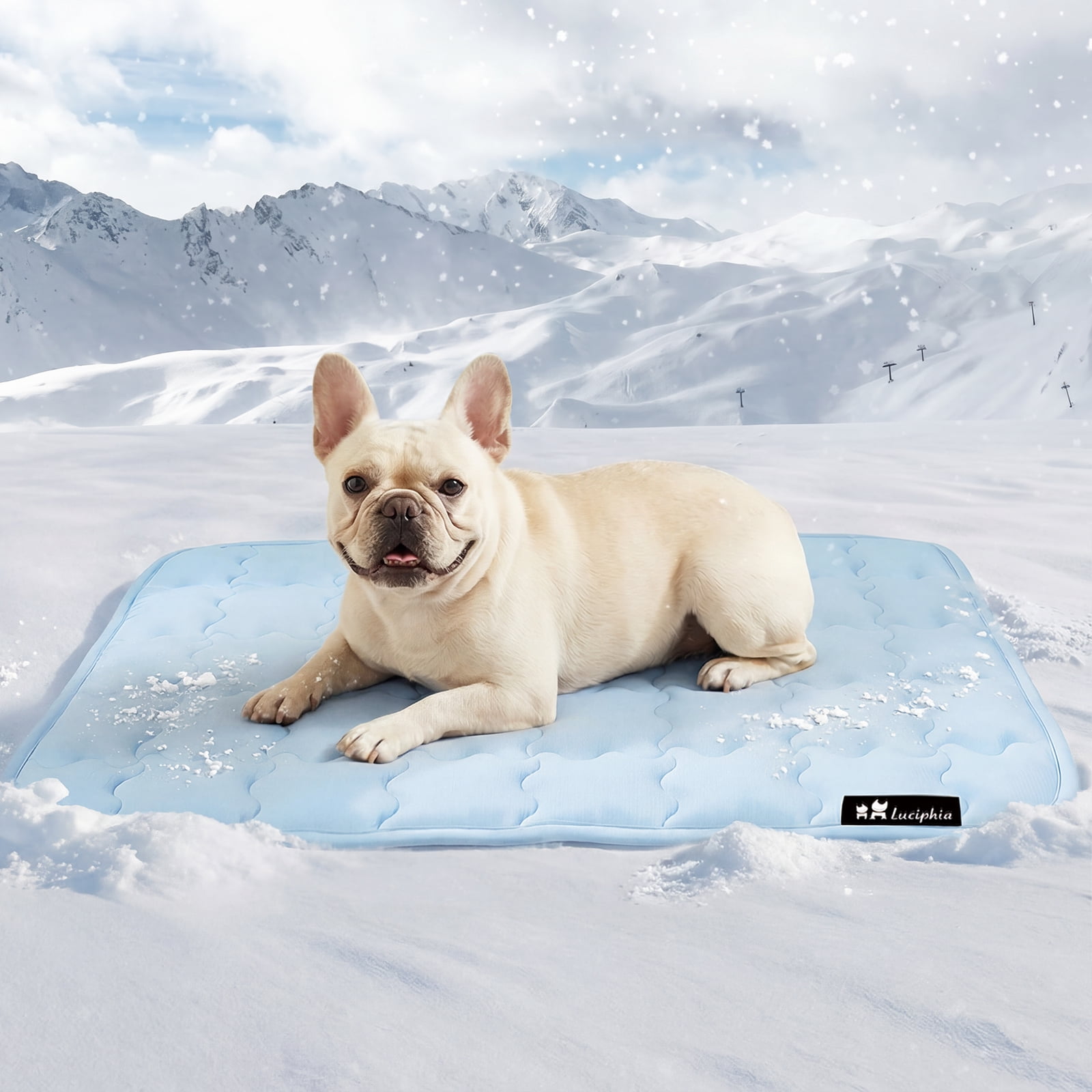 Premium Dog Cooling Mat Non-Slip Q-MAX>0.5 Self-Cooling Pad for Small Pet Cat Indoor Portable Kennel Puppy Bed for Summer Crate Pad for Dog Washable