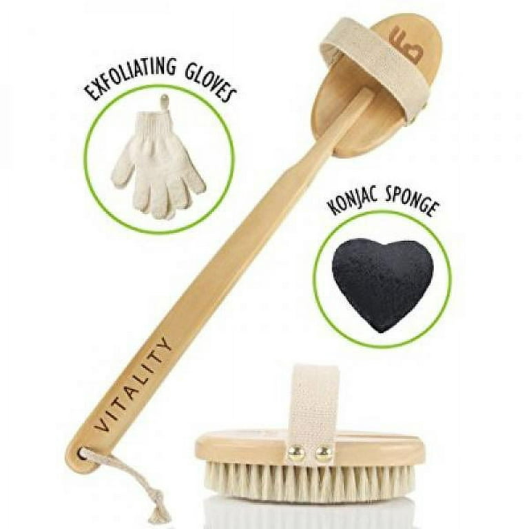 https://i5.walmartimages.com/seo/Premium-Dry-Brushing-Body-Brush-Lymphatic-Drainage-Cellulite-Treatment-Plastic-Free-Natural-Exfoliating-Set-Scrub-Gloves-Konjac-Sponge-Pumice-Stone-G_73c4cbc1-fefe-409f-9021-54d5ffc506d8.63bbc43b38428d5a35c9e1be484896cb.jpeg?odnHeight=768&odnWidth=768&odnBg=FFFFFF