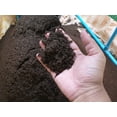 thumbnail image 1 of CZ Grain Premium Earthworm Castings, Soil Builder, Soil Amendment - Vermicast, 1 lb, 1 of 3
