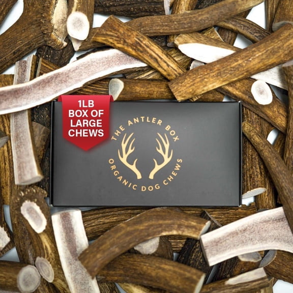Premium Elk Antler Dog Chews Large Split Pieces