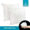 thumbnail image 1 of Premium Feather Replacement Cushion Insert, 24' x 24', 2-Pack, 1 of 1