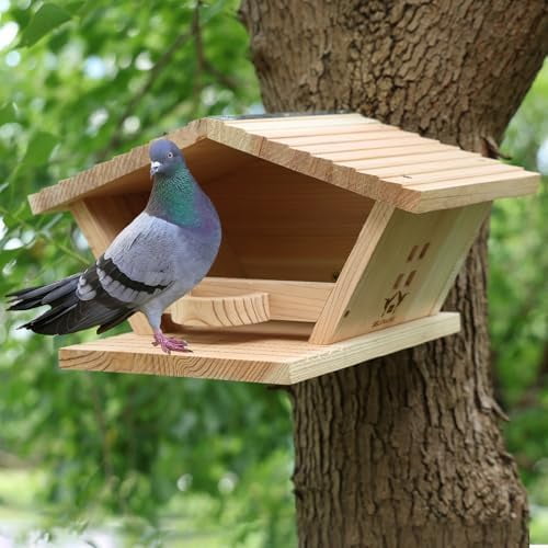 Premium Fir Wood Mourning Dove Nesting Box, 13.7" L x 7.2" H x 10.6" W Large Pigeon House, Ideal Outdoor Habitat for Pigeons - Easy to Install & Remove$$Garden & Patio
