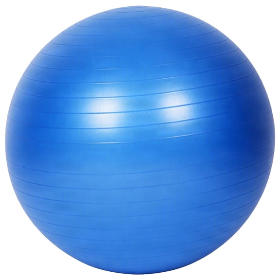 Amber Fight Gear Premium Fitness Ball– Stability, Core Strength & Balance Trainer for Home Gym & Physical Therapy, Anti-Burst & Non-Slip Exercise Ball, 65cm