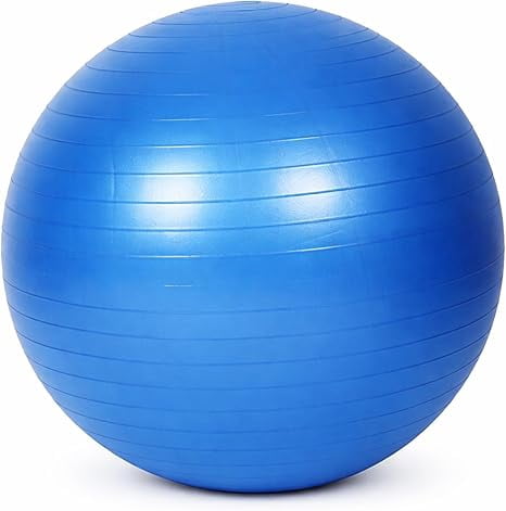Premium Fitness Ball with Strap – Stability, Core Strength & Balance Trainer for Home Gym & Physical Therapy, Anti-Burst & Non-Slip Exercise Ball,65cm