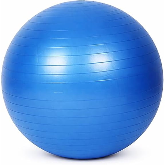 Premium Fitness Ball with Strap – Stability, Core Strength & Balance Trainer for Home Gym & Physical Therapy, Anti-Burst & Non-Slip Exercise Ball,65cm