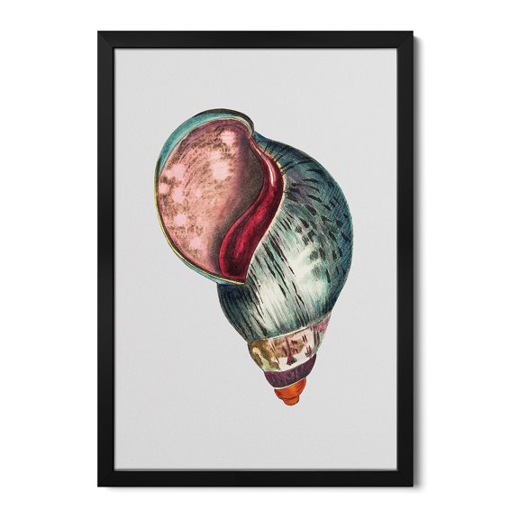 Premium Framed Art Print - Agate Bulla