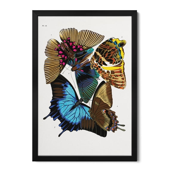 Premium Framed Art Print - Butterflies IV