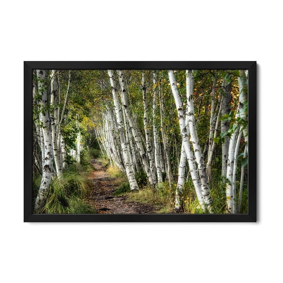 Premium Framed Art Print - A Walk Through The Birch Trees