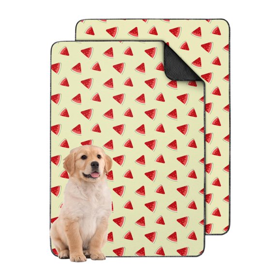 Premium Fruit Patterns 24"x35" Washable Pee Pads for Dogs, Reusable Non-Slip Puppy Training Mat for Crate Interiors and Floor Protection