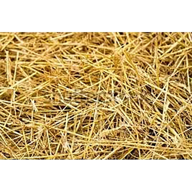 Premium Garden Straw (4 LBS) Straw Mulch That is Designed for Use in