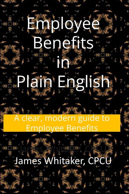 Insurance in Plain English Employee Benefits in Plain English: A clear, modern guide to Employee Benefits, Book 4, (Paperback)