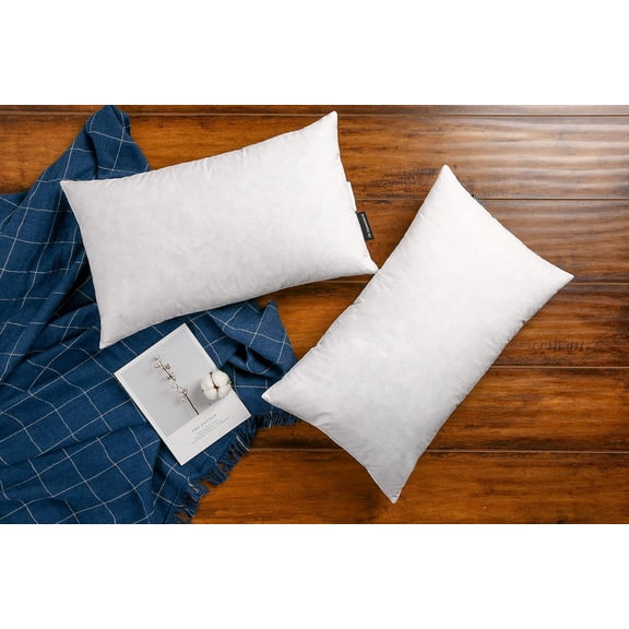 Premium Goose Down Feather Throw Pillow Inserts (Set of 2), Down Filling, High Filling Weight, Cotton Cover, Square, White