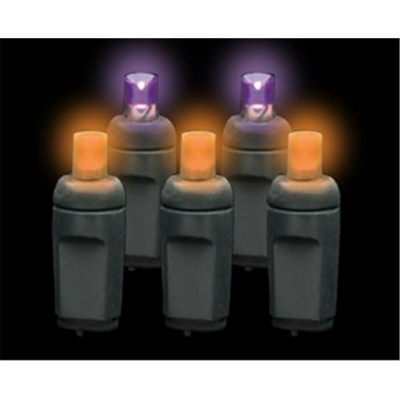 Premium Grade 5MM 50 LED Purple/Orange Frost Holiday Lights String with Black Wire