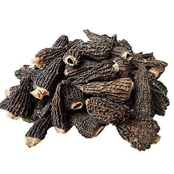 Premium Grade, Dried Morel Mushrooms 16oz (1lb) (Morchella Conica) by MushroomStorm