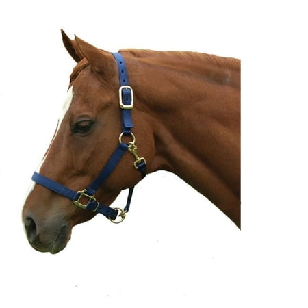 Intrepid International 1ZAS1116RD Nylon Horse Halter, Red - Large Horse