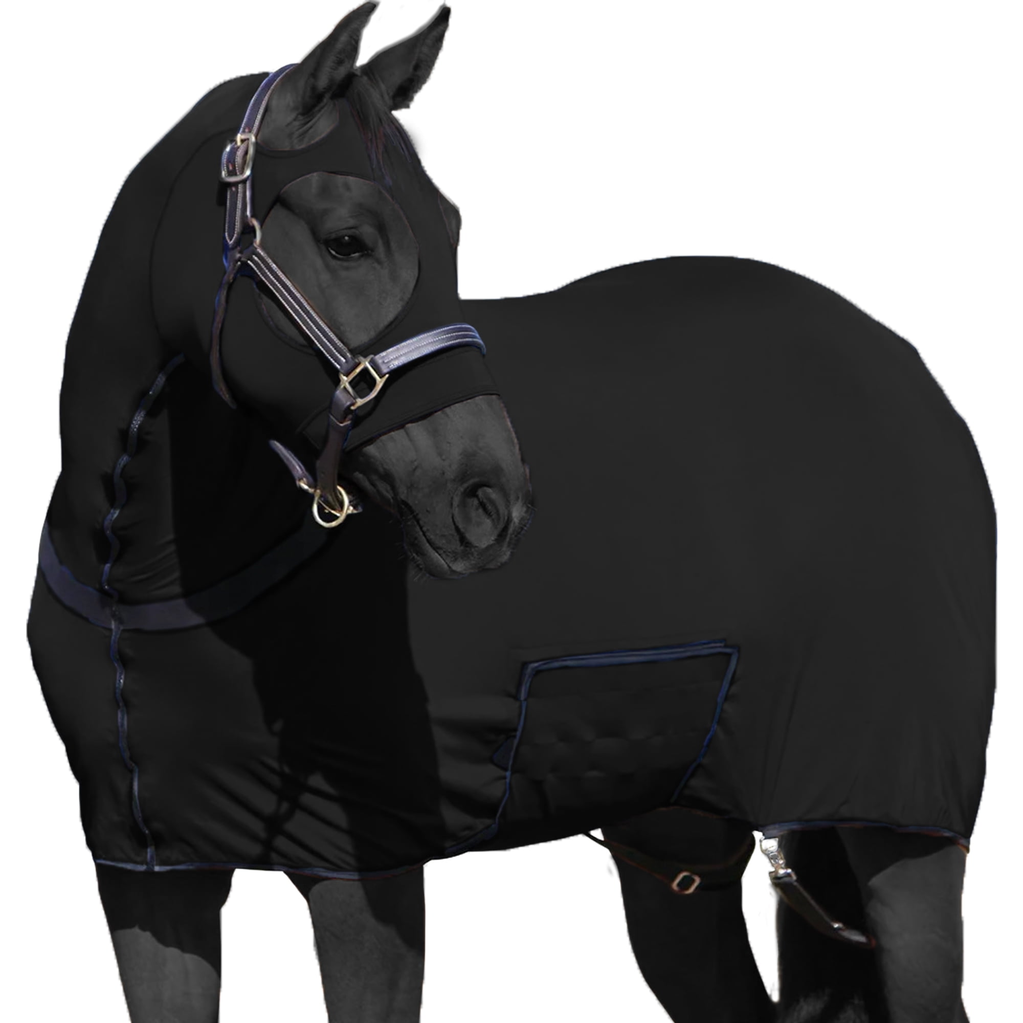 Premium Horse Full Body Slinky with Full Zipper Face and Forelock Saver