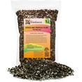 thumbnail image 1 of Premium House Plant and Tropical Plant Potting Soil - Re-Potting Soil for All Types of Indoor House Plants - 1 Quart, 1 of 10