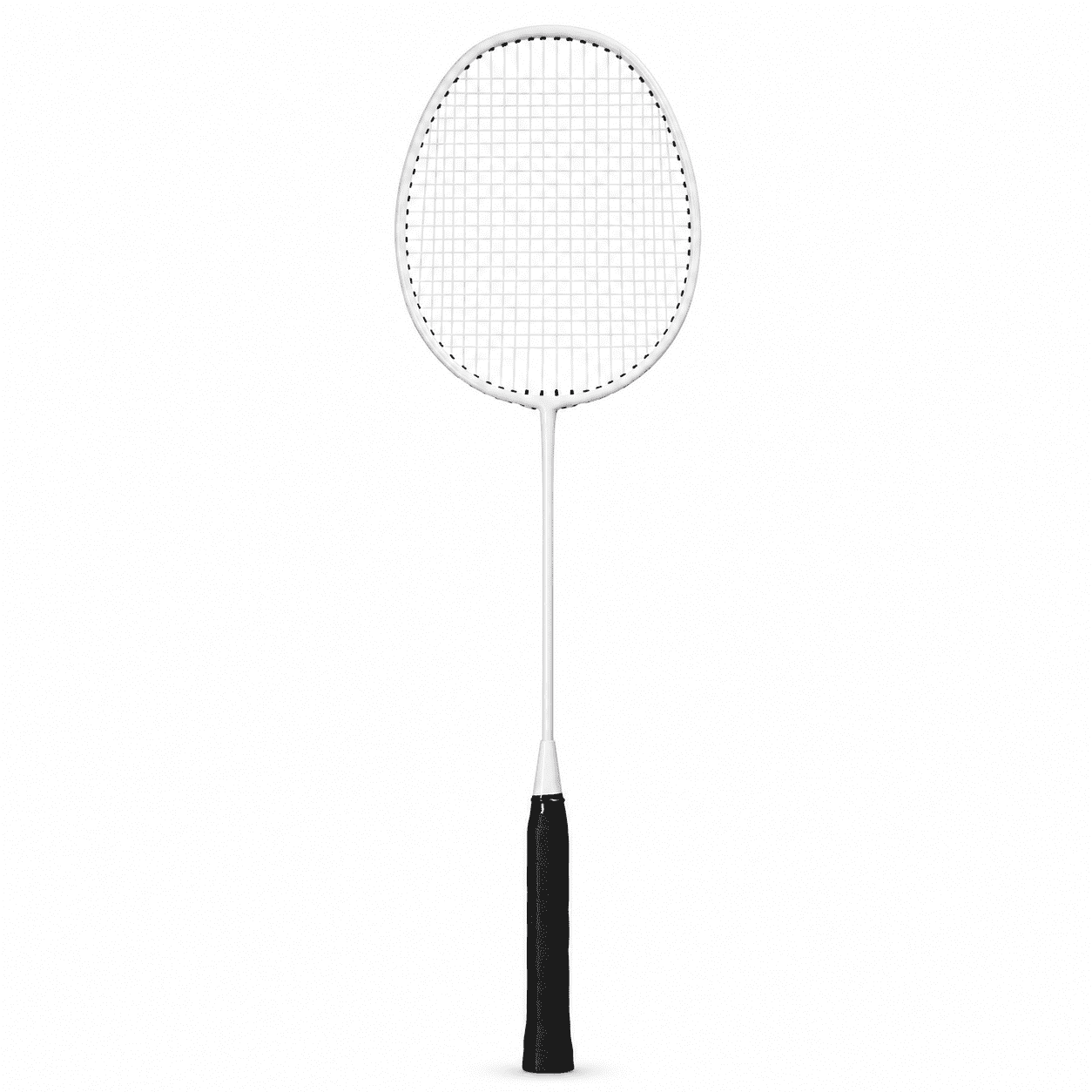 Premium Iron Alloy Badminton Racket Lightweight Training Racquet for ...