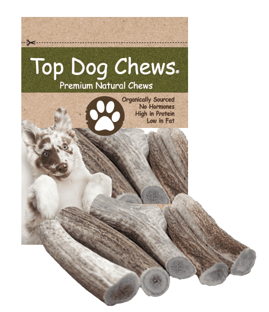 Elk Nature's Premium Dog Food Elk With Wild Berries – Foley