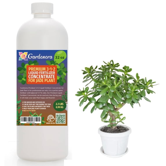 Premium Liquid JADE Plant Fertilizer - 3-1-2 Concentrate for Indoor Plants and Flowers by Gardenera Labs | Organic Plant Food for JADE Plants - 32oz