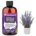 thumbnail image 1 of Premium Liquid LAVENDER Plant Fertilizer - 3-1-2 Concentrate for Indoor Plants and Flowers by Gardenera Labs | Organic Plant Food for Lavenders - 8oz, 1 of 4