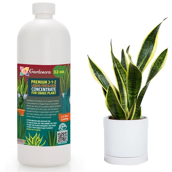 Premium Liquid SNAKE Plant Fertilizer - 3-1-2 Concentrate for Indoor Plants and Flowers by Gardenera Labs | Organic Plant Food for SNAKE Plants - 32oz