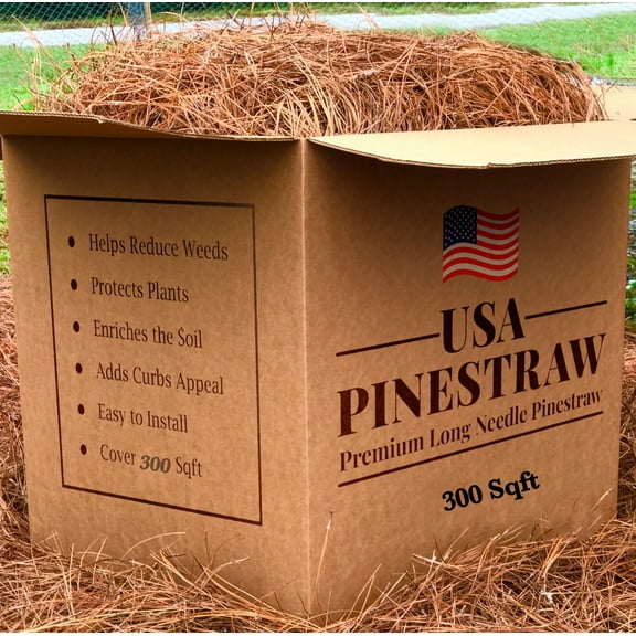 Premium Long Needle | Pine Straw Mulch | 300 Sqft
