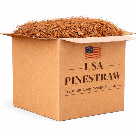 USA Pine Long Needle Pine Straw Mulch for Landscape Beds Gardens 300 ...