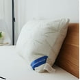 thumbnail image 1 of Premium Memory Foam Pillow with Bamboo Cover (King-Soft), 1 of 7