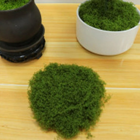Premium Natural Dried Green Moss for Crafts, Plant Decoration, Landscaping, Bonsai Pavement, Silky Fake Moss