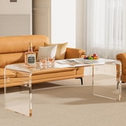 Premium Need Assembly 44" Acrylic Coffee Table,Clear Lucite Coffee Table for Living Room,Rectangle Plexiglass Center Waterfall Table,Supports 260 LBS,44"x16"x16",0.6" Thick Fit for 4 Seat Sofa