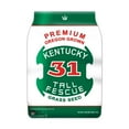 Premium Oregon Grown Kentucky DHF10 31 Tall Fescue Grass Seed (5 LBS