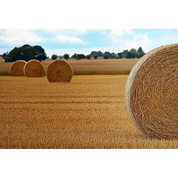 Premium Organic 100% Natural Straw for Animal Bedding, Garden Mulch, Compost & Fertilizer, and Grass Cover (8 lbs)