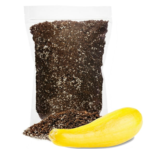 ⭐ Premium Organic Potting Soil for Squashes - (2 Quart Bag)